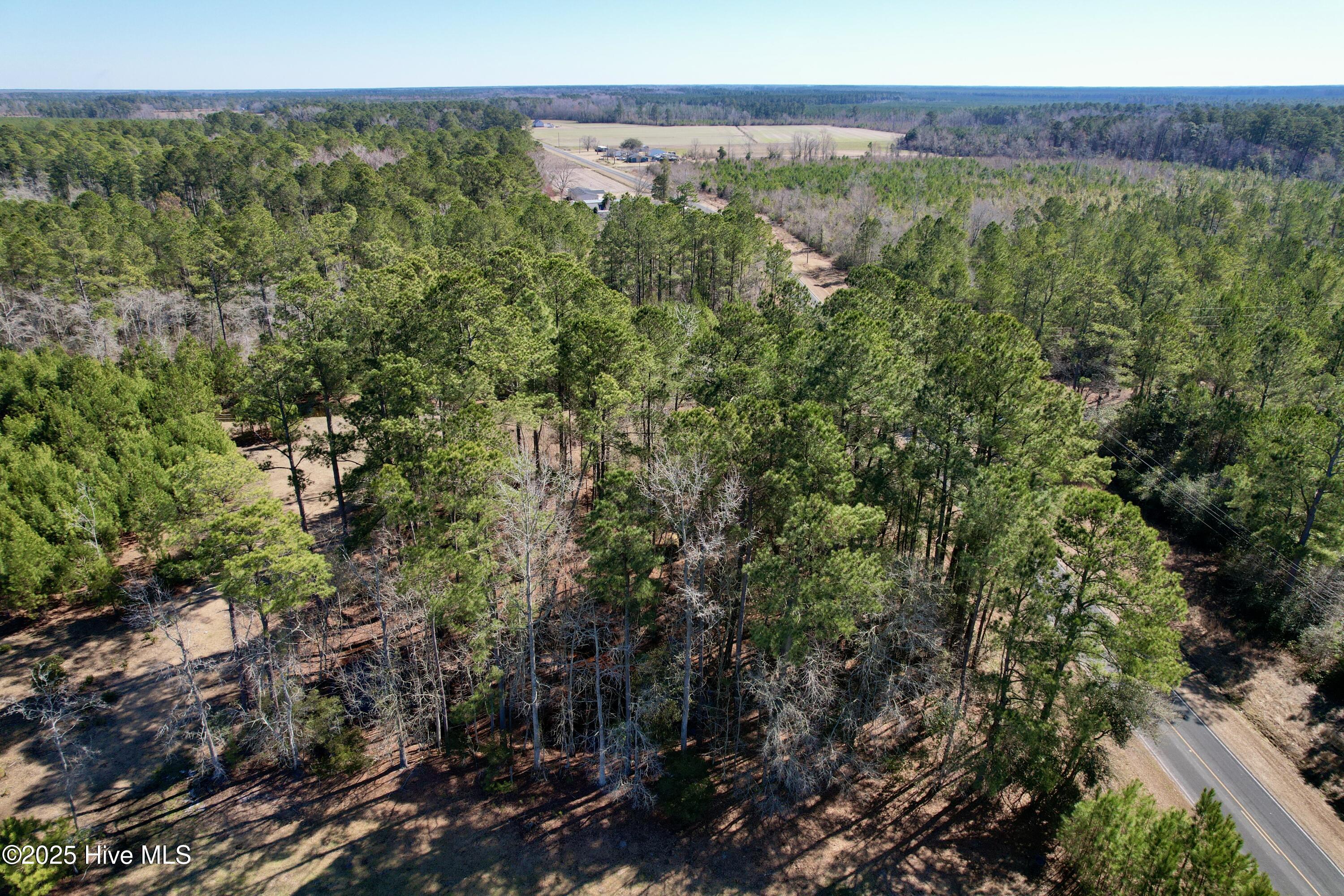 0 Ward Town Road North Whiteville, NC 28472 - Photo 7 of 29 Image 5
