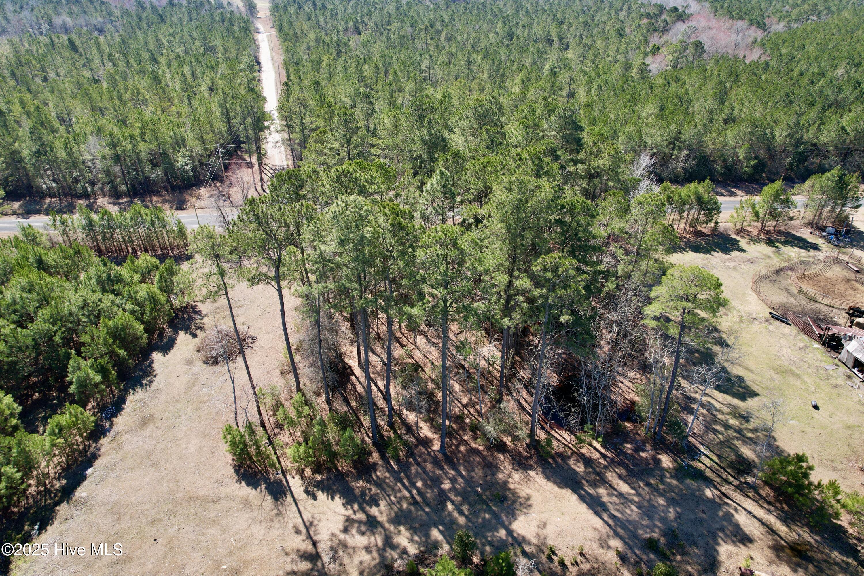 0 Ward Town Road North Whiteville, NC 28472 - Photo 8 of 29 Image 6