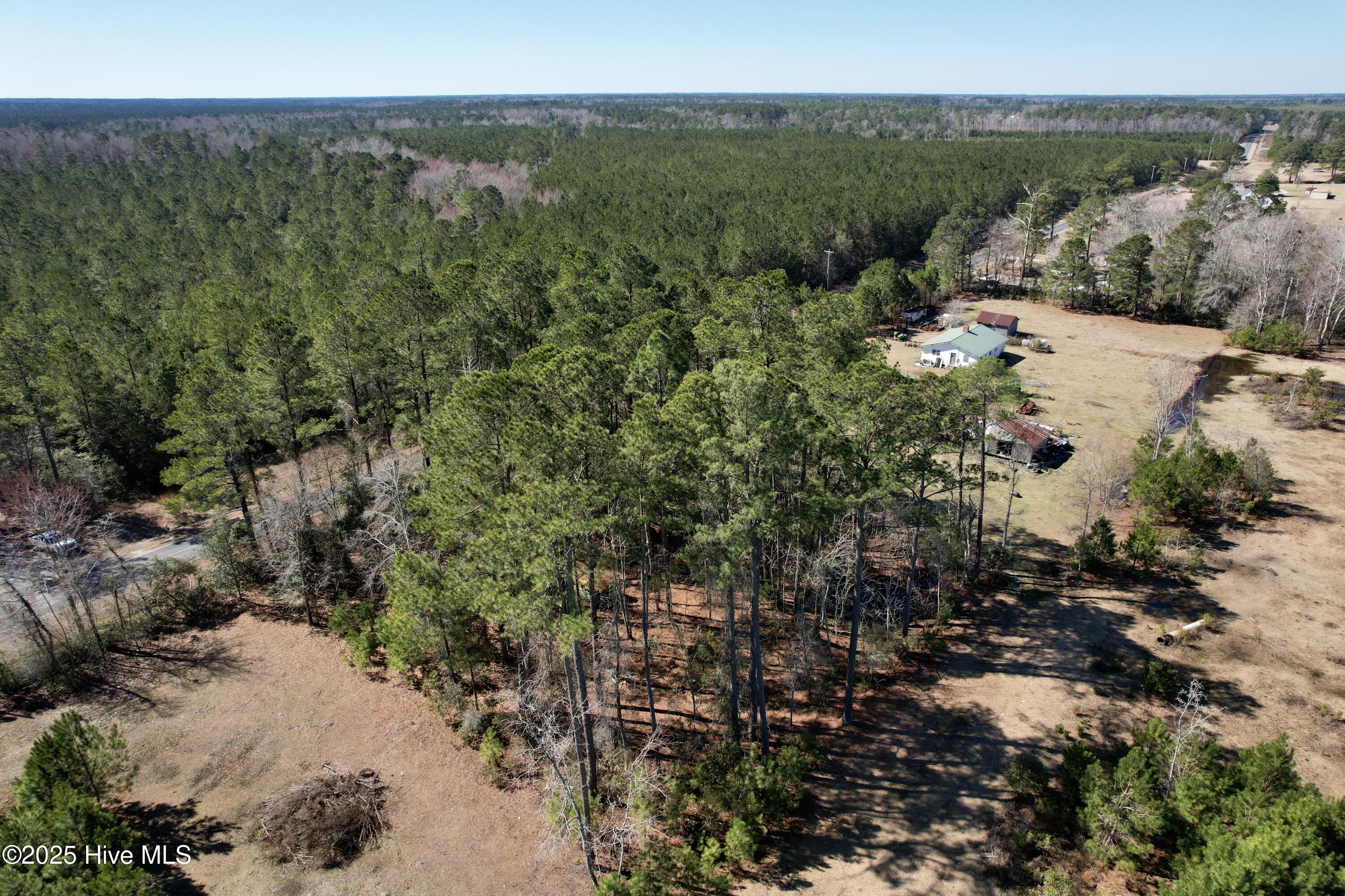 0 Ward Town Road North Whiteville, NC 28472 - Photo 9 of 29 Image 7