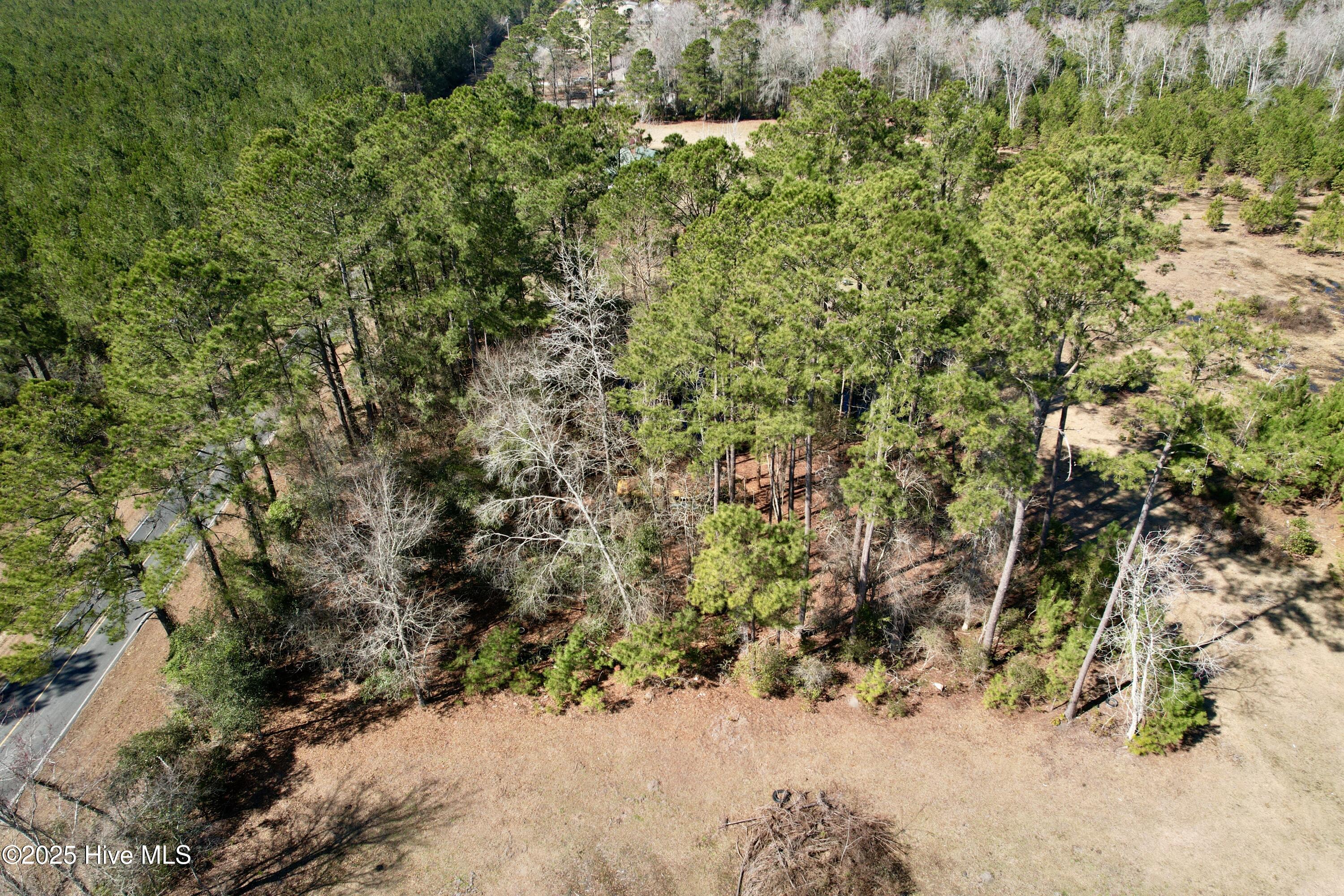 0 Ward Town Road North Whiteville, NC 28472 - Photo 10 of 29 Image 8