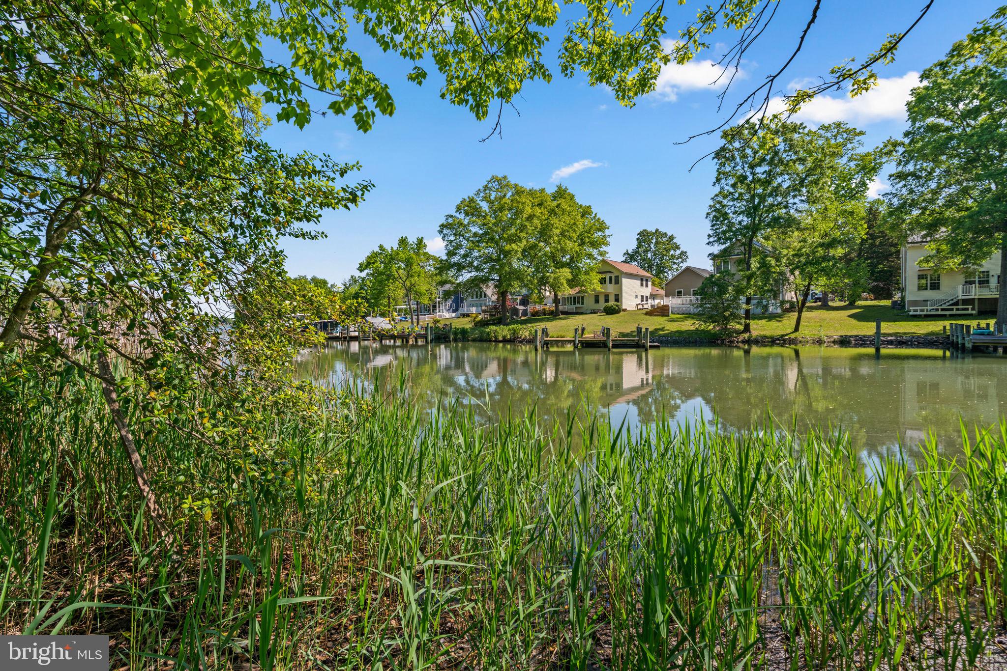 4218 Shoreham Beach Road Edgewater, MD 21037 - Photo 9 of 19