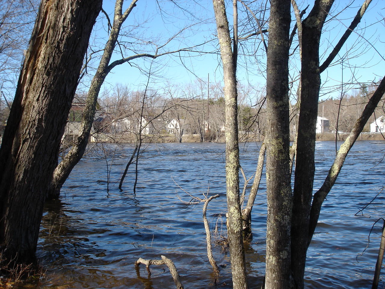 961 River Road Hollis Center, ME 04042 - Photo 6 of 32 DSC09927