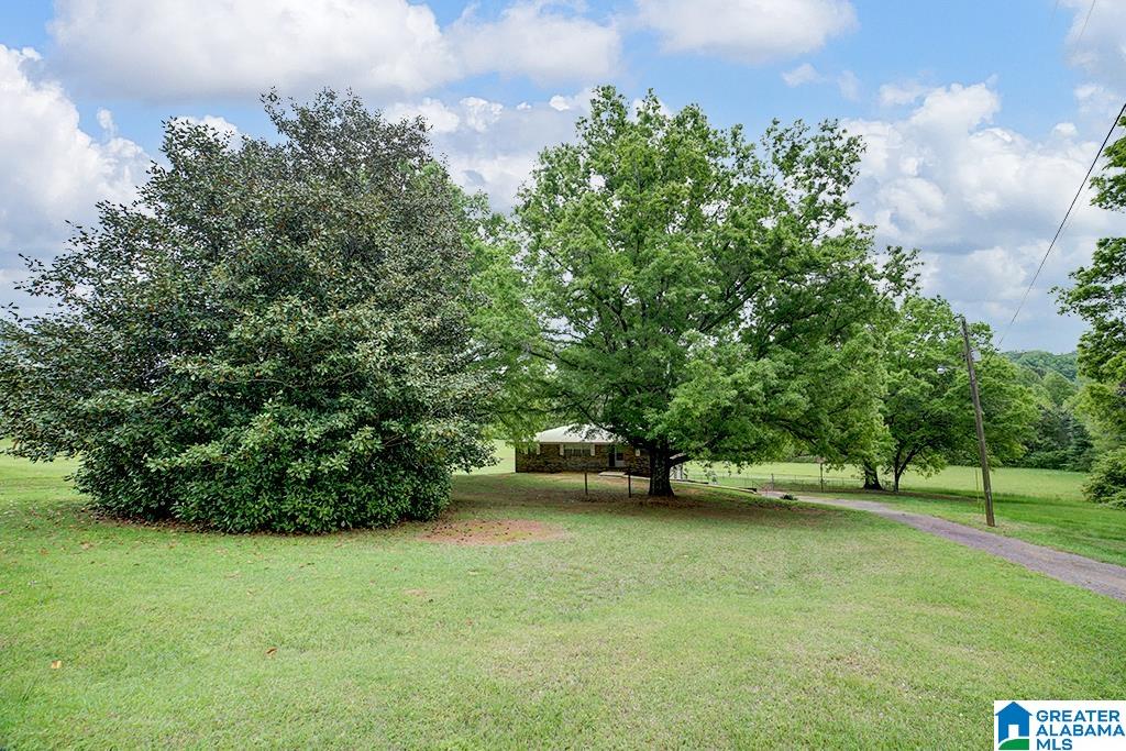 7307 Old Springville Road Pinson, AL 35126 - Photo 2 of 26
