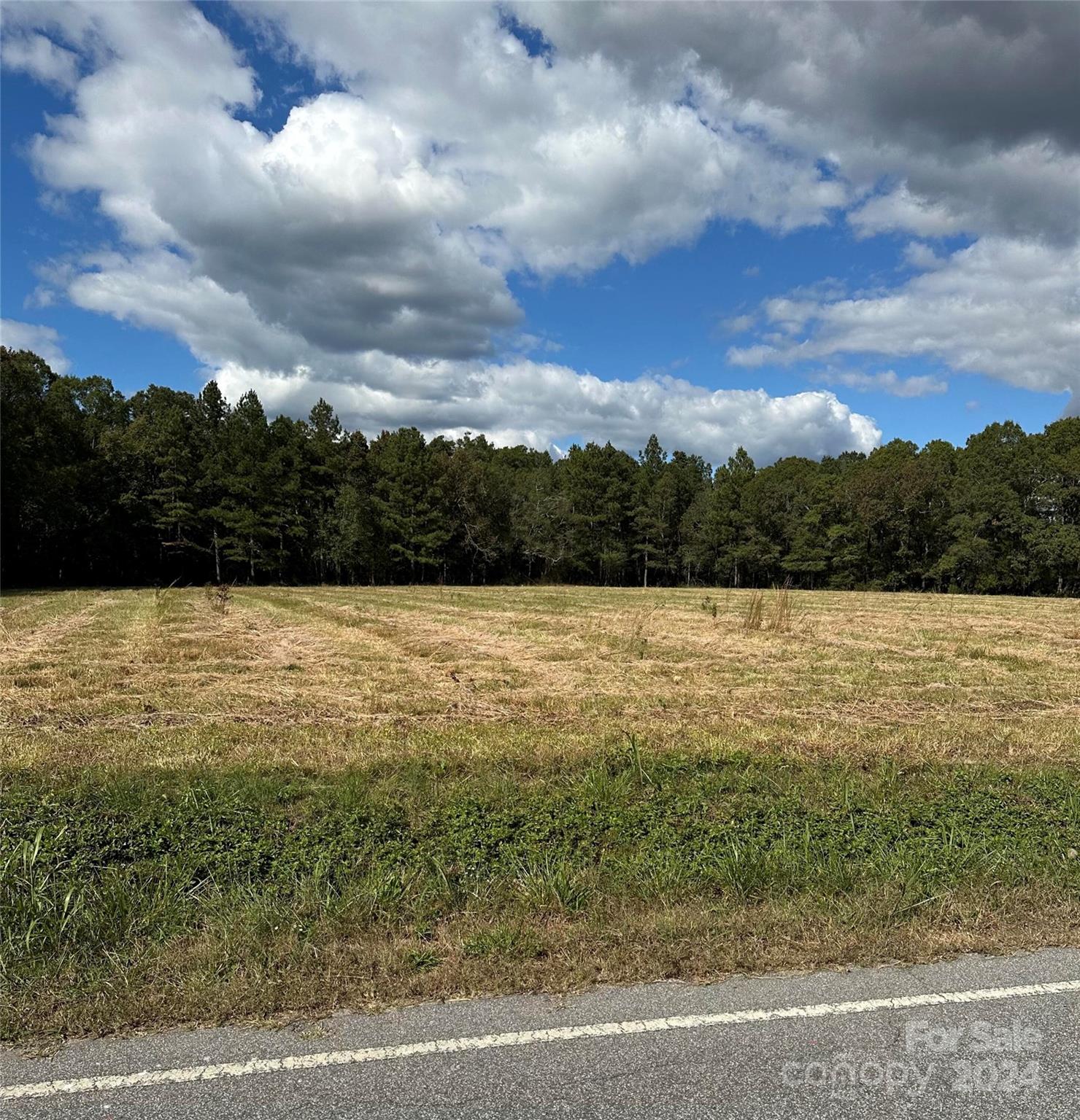 0 Friendly Baptist Church Road, Unit 3 Monroe, NC 28110 - Photo 3 of 4