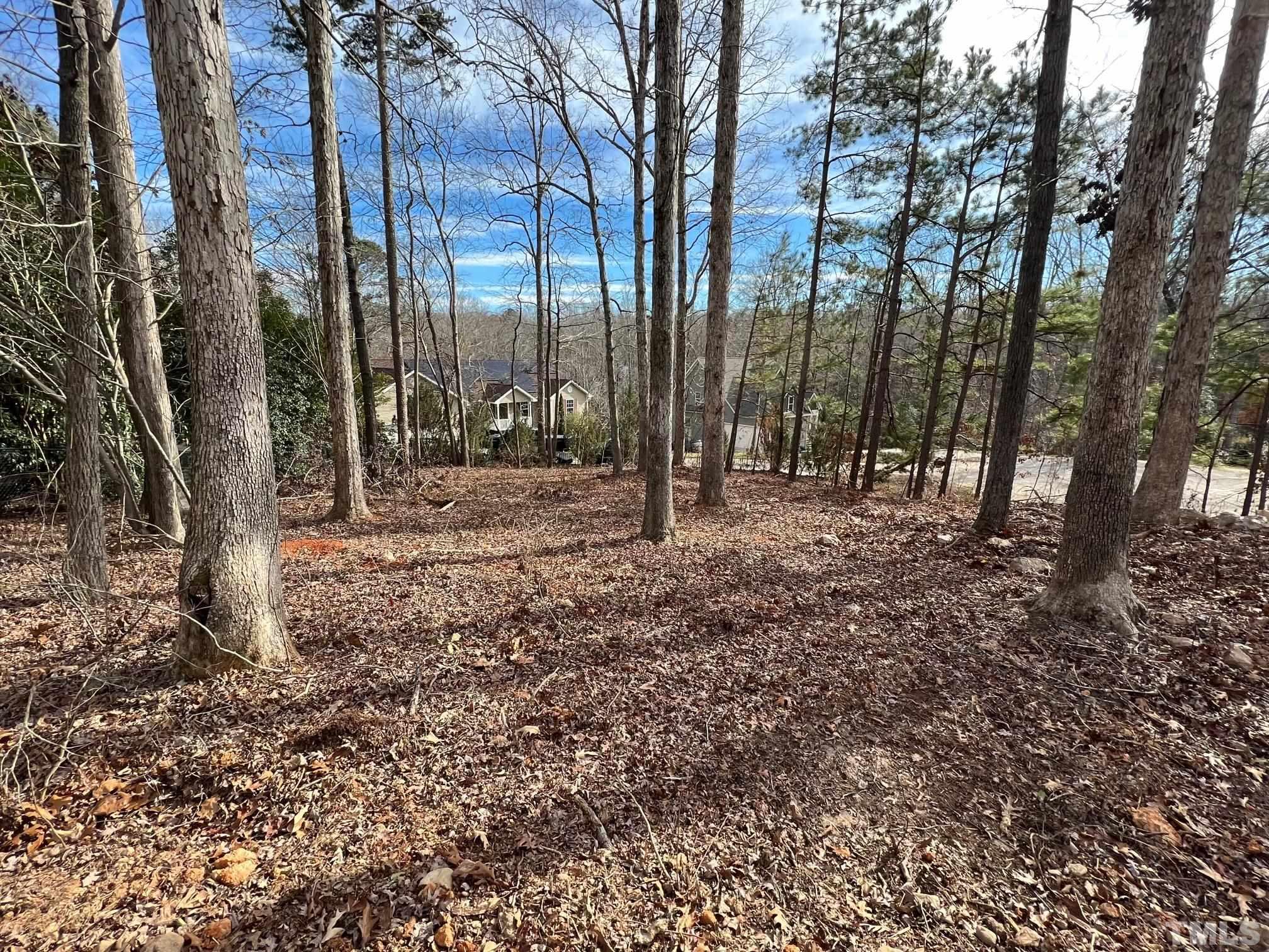 1108 Hammerman Drive Willow Spring, NC 27592 - Photo 18 of 22 a view of outdoor space with lots of trees