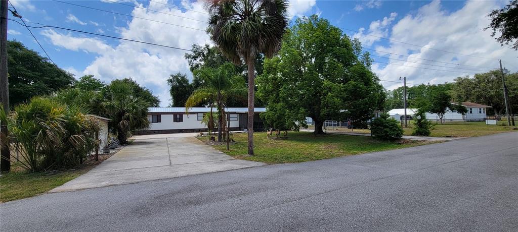 a view of park with large trees