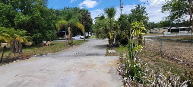 a view of a park with plants and trees