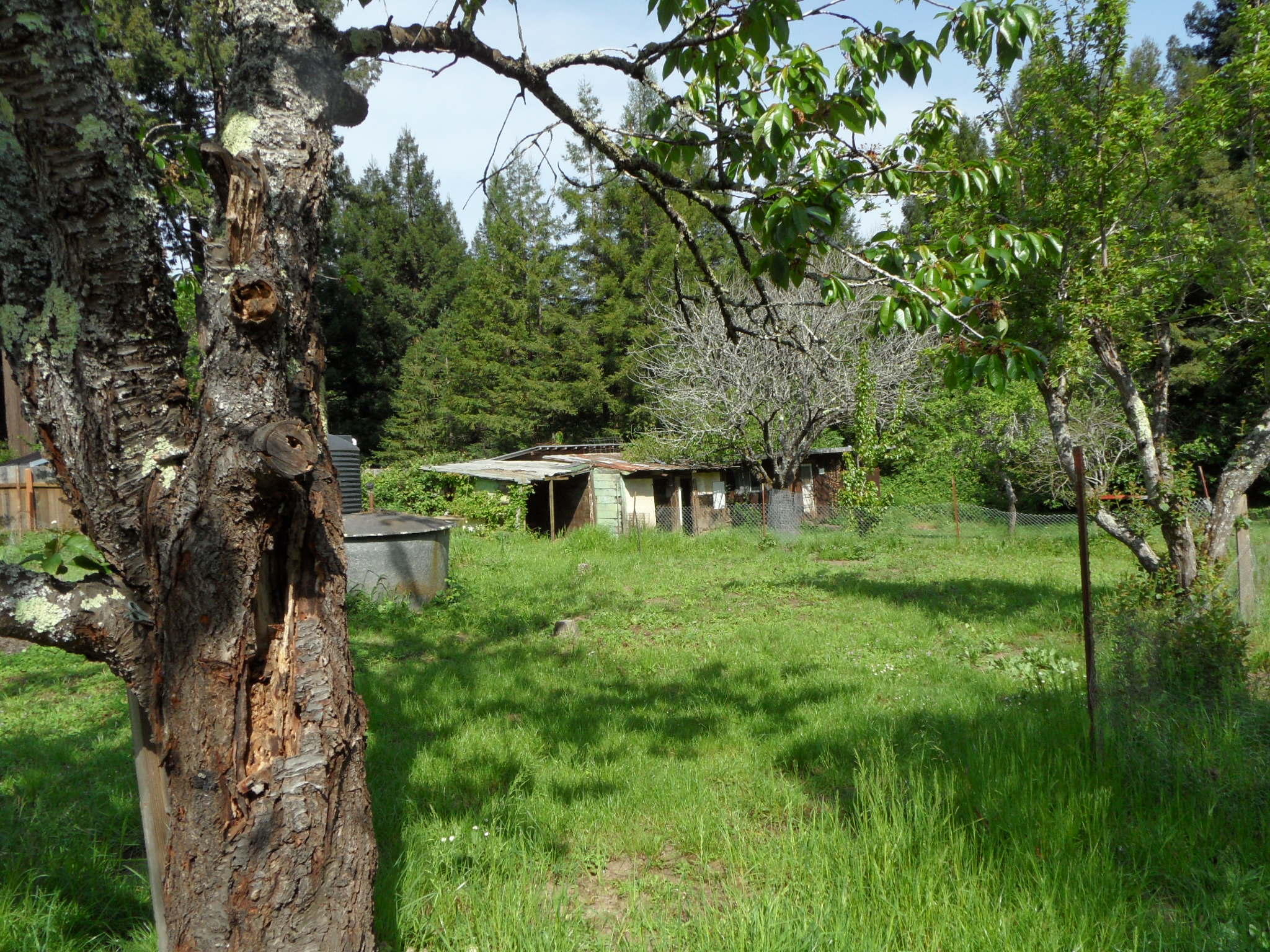 85 Stafford Road Scotia, CA 95565 - Photo 10 of 25