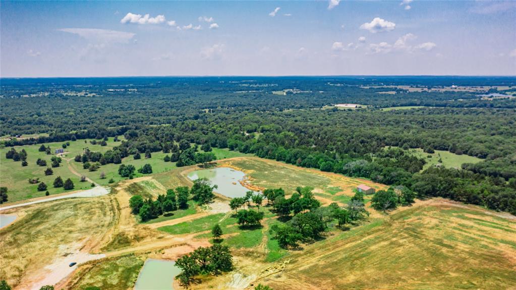 1789 Brumelow Road Whitesboro, TX 76273 - Photo 9 of 30 Expansive open fields with multiple ponds and mature trees