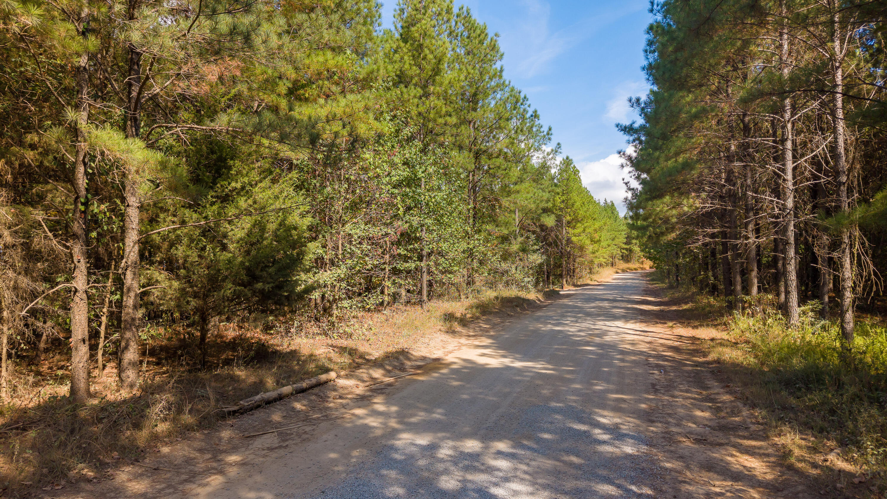 0 Riverbend Road, Unit LOT 2402 Guild, TN 37340 - Photo 16 of 68 2026_09_September_Lot_2402_River_Bend_Rd