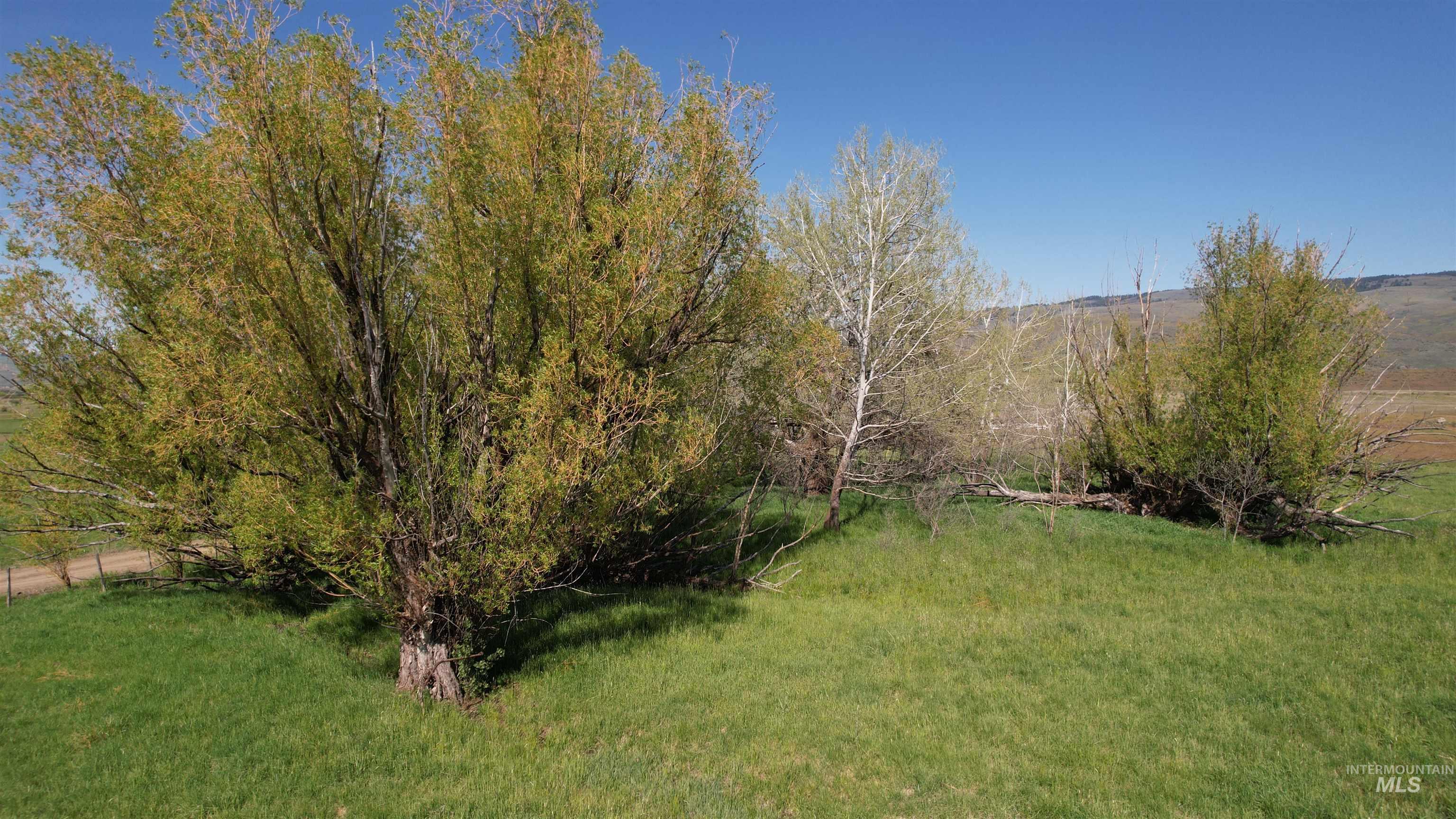 19763 Butler Lane Ola, ID 83657 - Photo 6 of 40