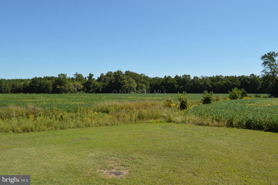5567 Massey Crossing Road Willards, MD 21874 - Photo 18 of 20