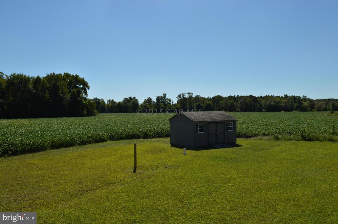 5567 Massey Crossing Road Willards, MD 21874 - Photo 19 of 20