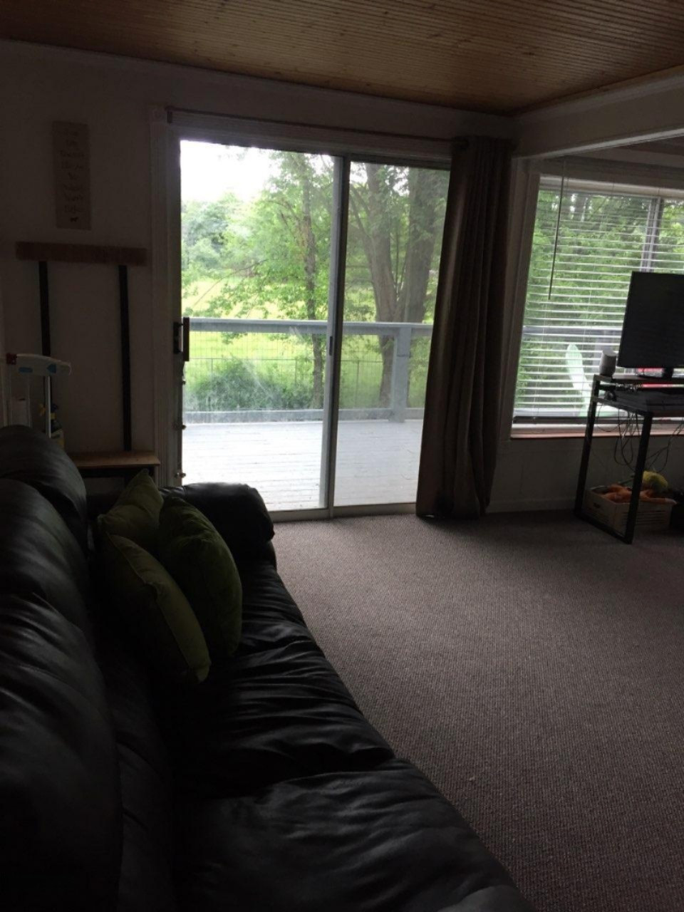 18003 Dogwood Drive Spring Lake, MI 49456 - Photo 15 of 65 IMG_0681dogwood