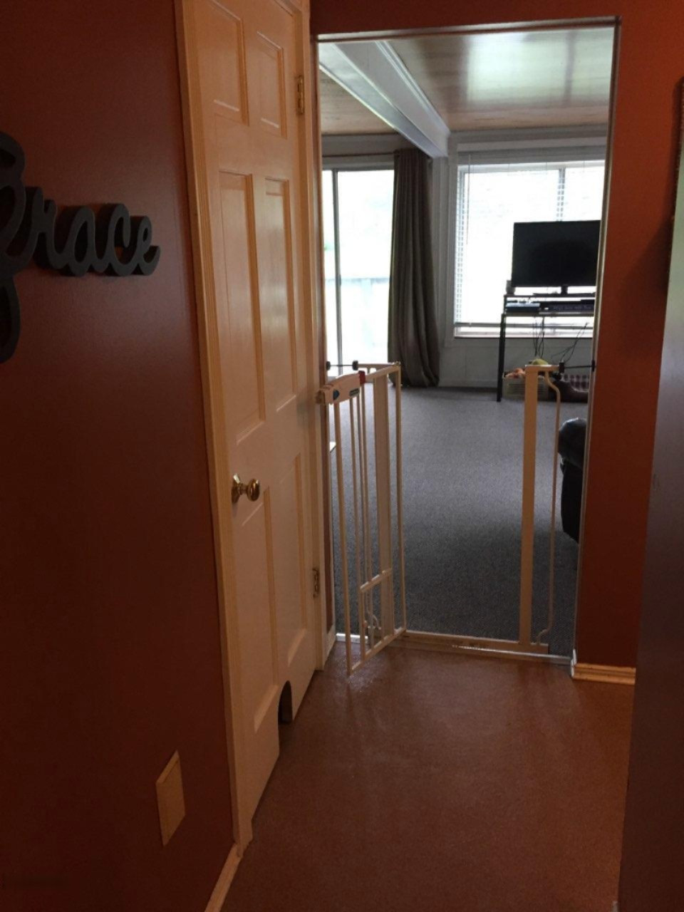 18003 Dogwood Drive Spring Lake, MI 49456 - Photo 18 of 65 IMG_0693dogwood