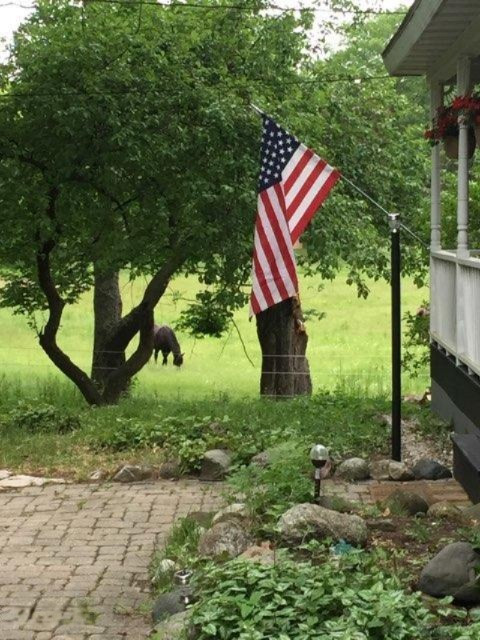 18003 Dogwood Drive Spring Lake, MI 49456 - Photo 2 of 65 dogwood