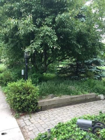 18003 Dogwood Drive Spring Lake, MI 49456 - Photo 48 of 65 IMG_0767dogwood