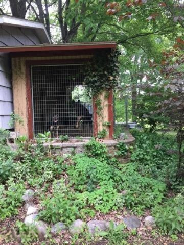 18003 Dogwood Drive Spring Lake, MI 49456 - Photo 49 of 65 IMG_0762dogwood