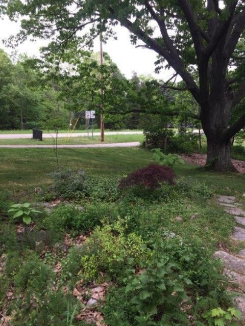 18003 Dogwood Drive Spring Lake, MI 49456 - Photo 61 of 65 IMG_0770dogwood