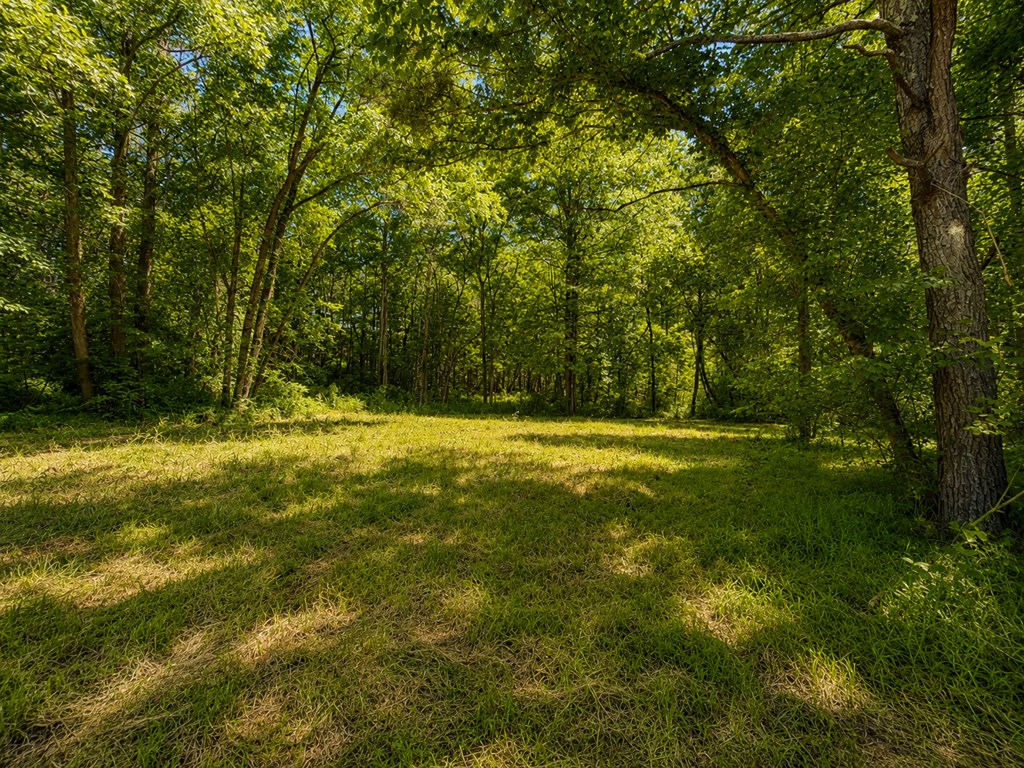 773 Fairview Road Jasper, GA 30143 - Photo 29 of 73