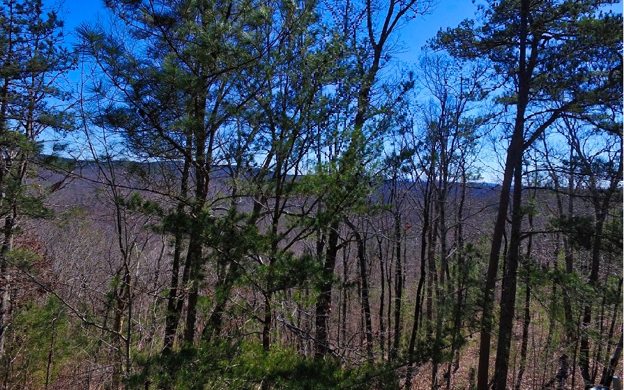 Lt181 Doll Mountain Road Ellijay, GA 30540 - Photo 2 of 14 Additional View
