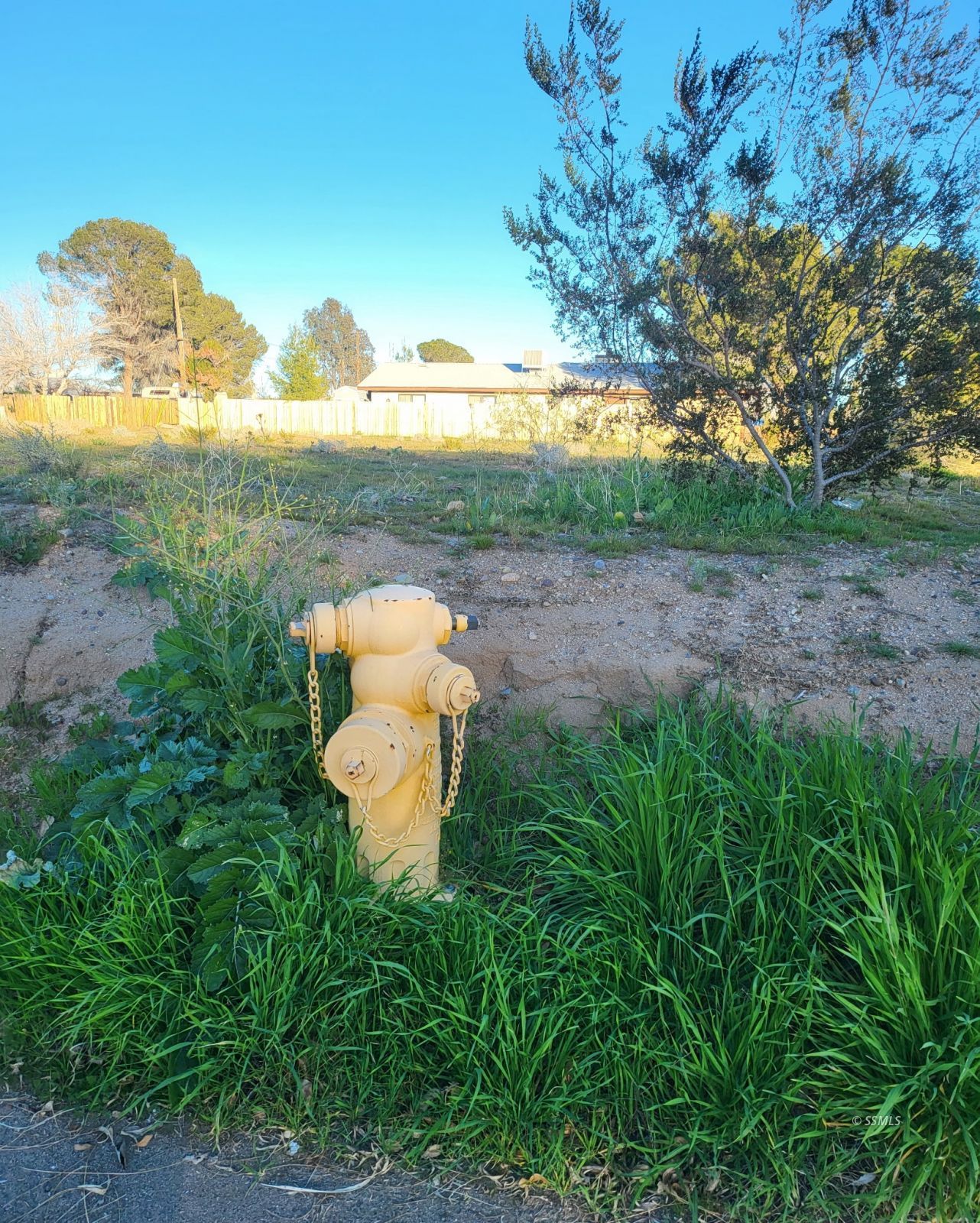 North Downs Street Ridgecrest, CA 93555 - Photo 3 of 17 Gallery Image 3