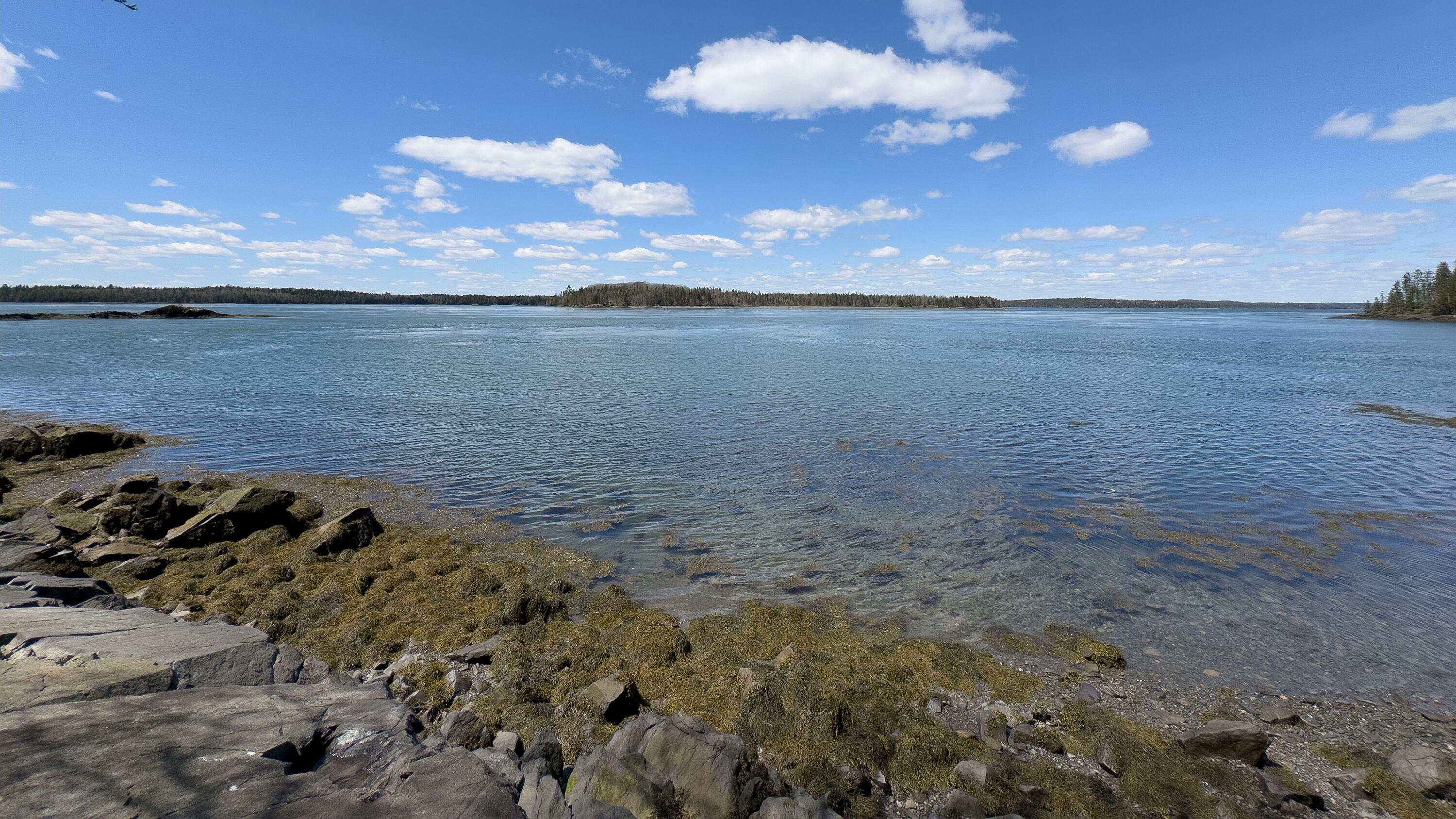 1058 Straight Bay Road Lubec, ME 04652 - Photo 48 of 81 1058 STRAIGHT BAY ROAD SHORE 8