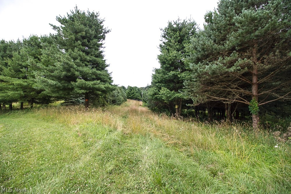 5854 Dog Run Road Mineral City, OH 44656 - Photo 23 of 24