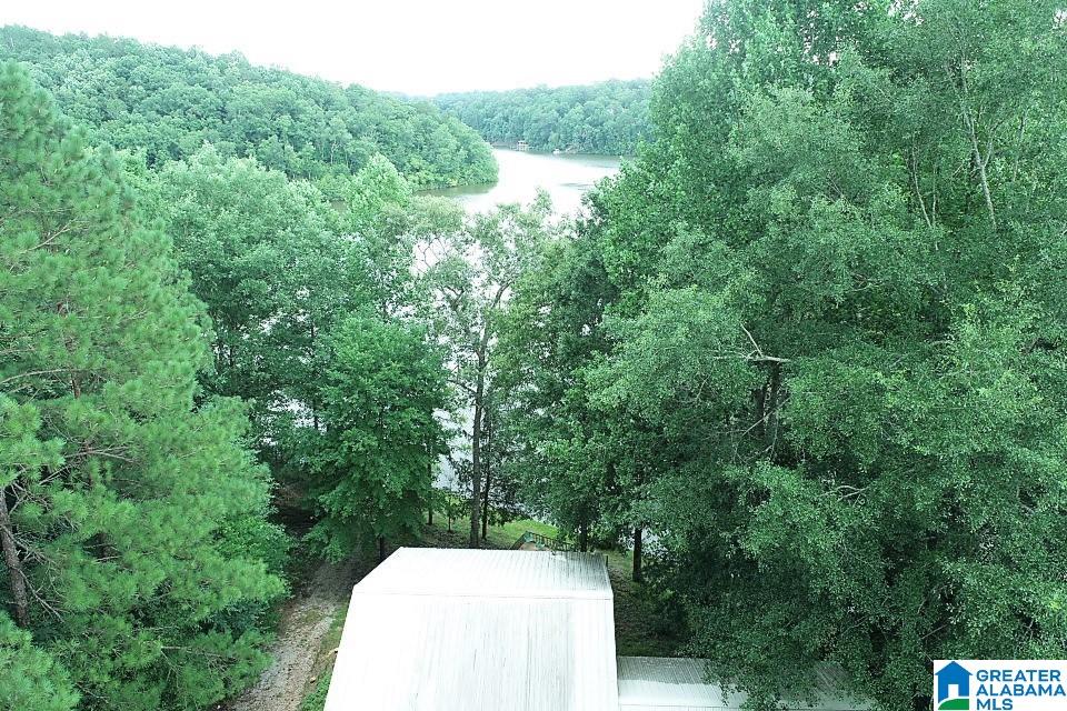 143 County Road 2010 Delta, AL 36258 - Photo 2 of 32
