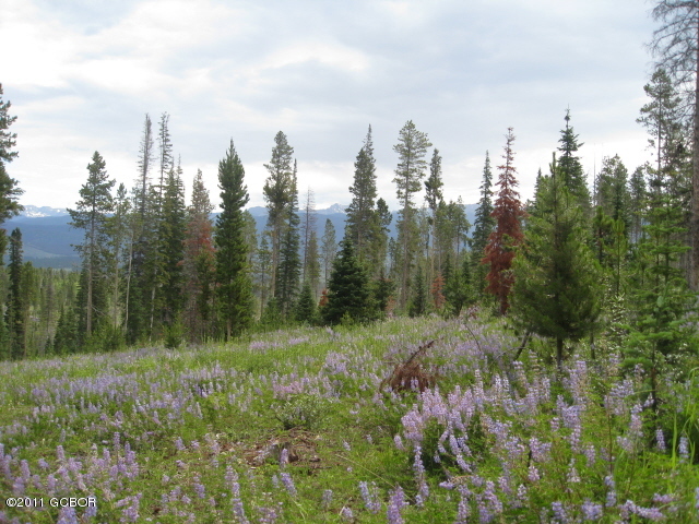 52 County Road Fraser, CO 80442 - Photo 1 of 1 Indian Peaks View