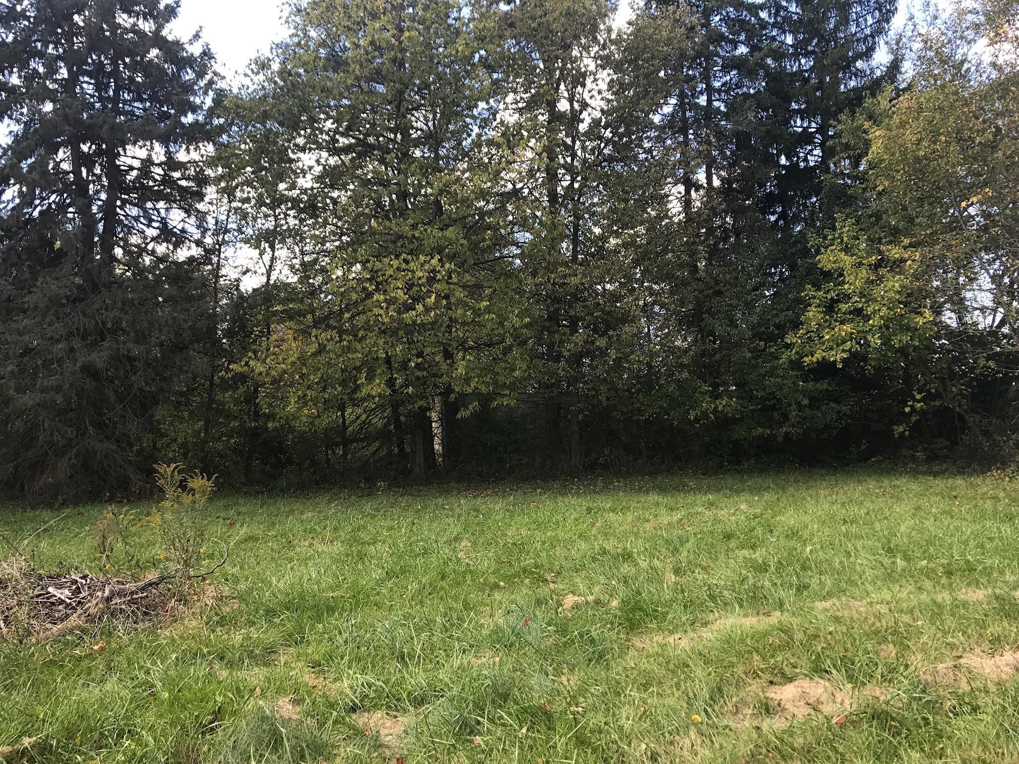6875 Pickerington Road Northwest Carroll, OH 43112 - Photo 8 of 13