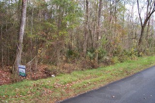 1924 Bateman Road Aurora, NC 27806 - Photo 1 of 1 Primary Photo