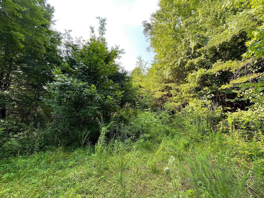 0 Ridgecrest Loop Lane Sevierville, TN 37876 - Photo 11 of 13 Gallery Image 11