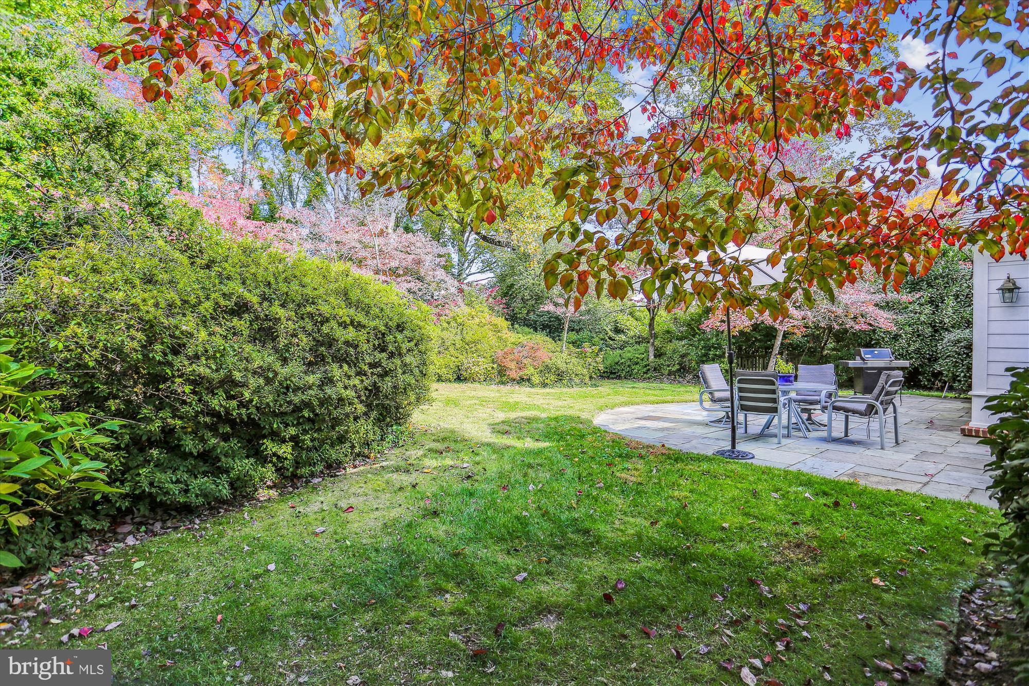 5517 Devon Road Bethesda, MD 20814 - Photo 20 of 61 Amazing backyard