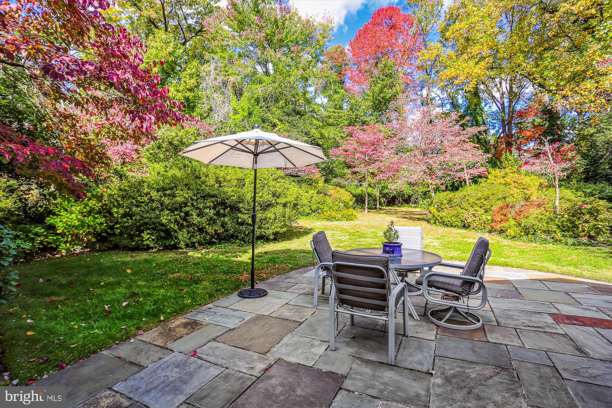 5517 Devon Road Bethesda, MD 20814 - Photo 44 of 61 Glorious Colorful Backyard