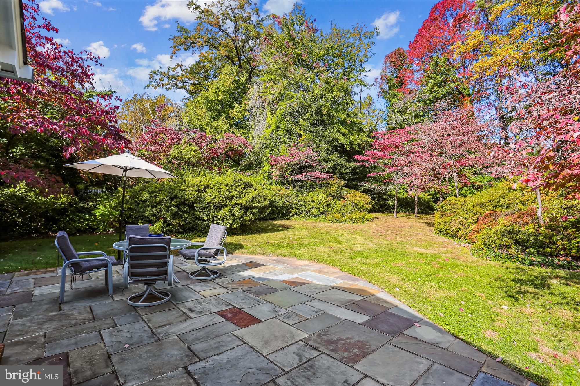 5517 Devon Road Bethesda, MD 20814 - Photo 45 of 61 Breathtaking Backyard