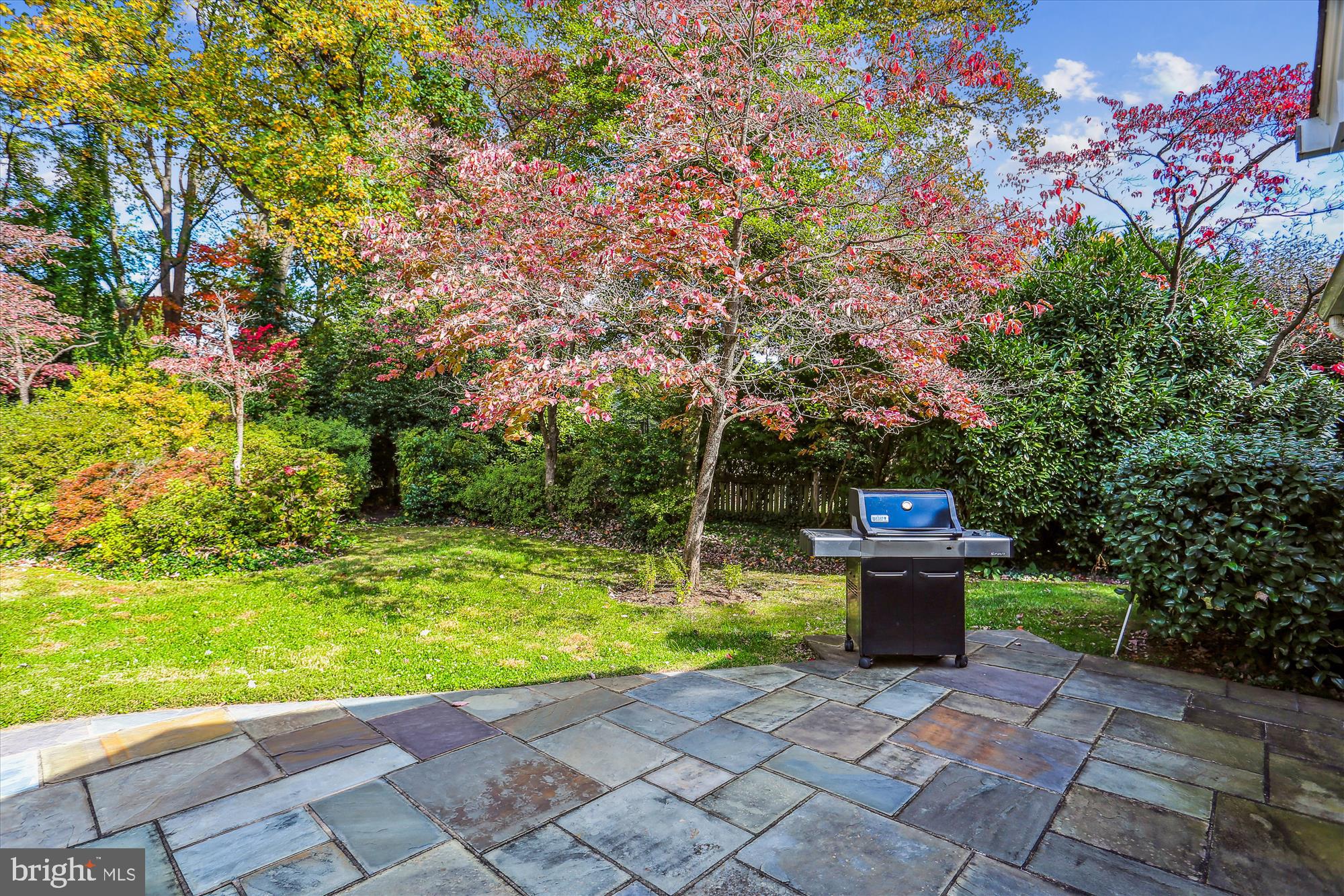 5517 Devon Road Bethesda, MD 20814 - Photo 46 of 61 Built-In Gas Line to Grill