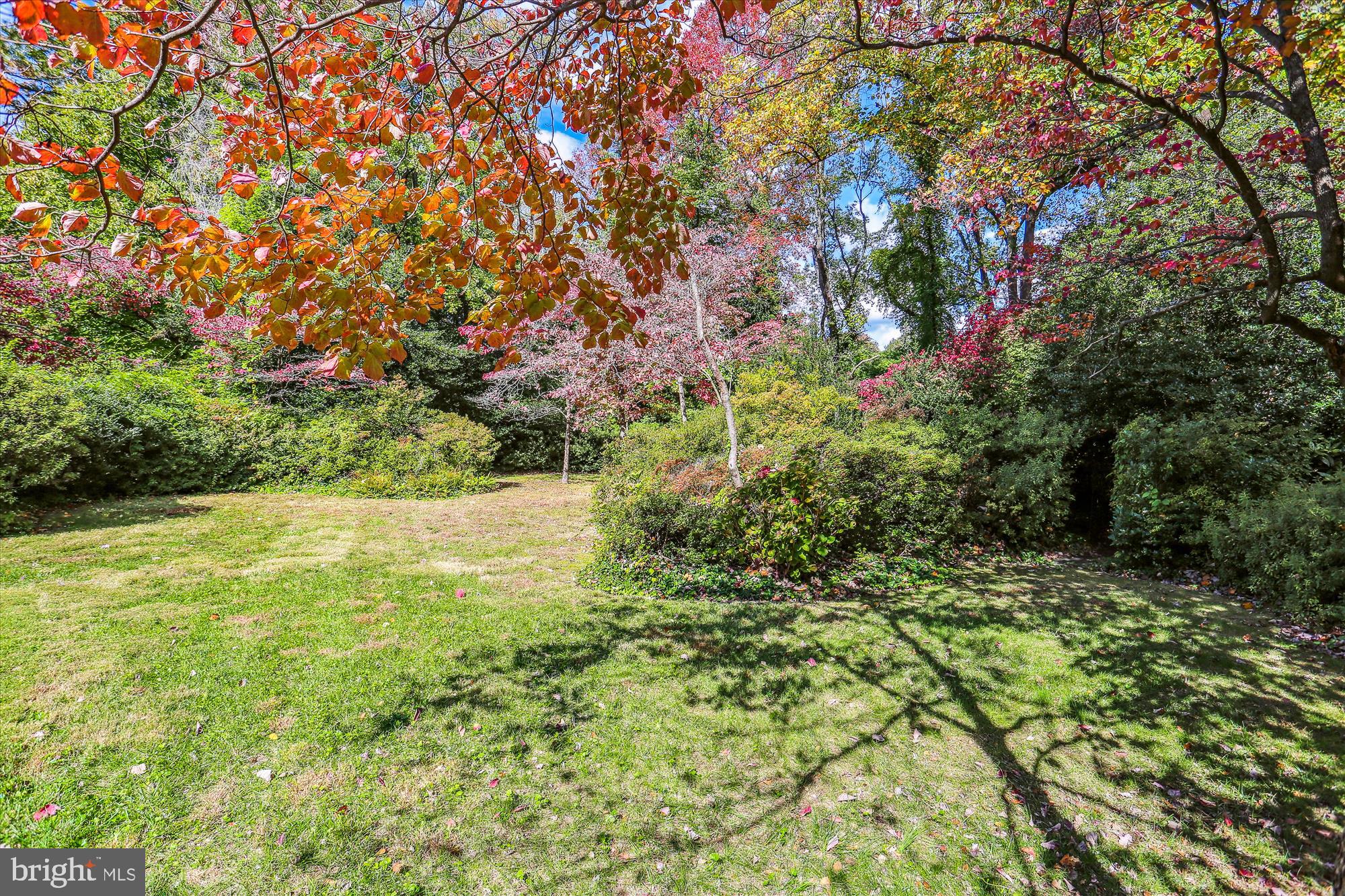 5517 Devon Road Bethesda, MD 20814 - Photo 47 of 61 Picturesque Yard