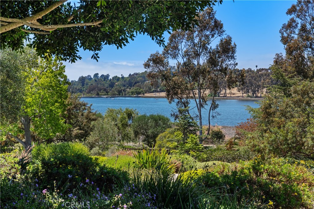 6533 Lago Lindo Rancho Santa Fe, CA 92067 - Photo 9 of 57 a view of a lake with a house in background