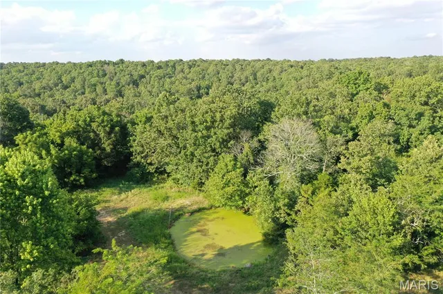$218,519 | Tbd East Wirth Road, Ravenden, AR 72459