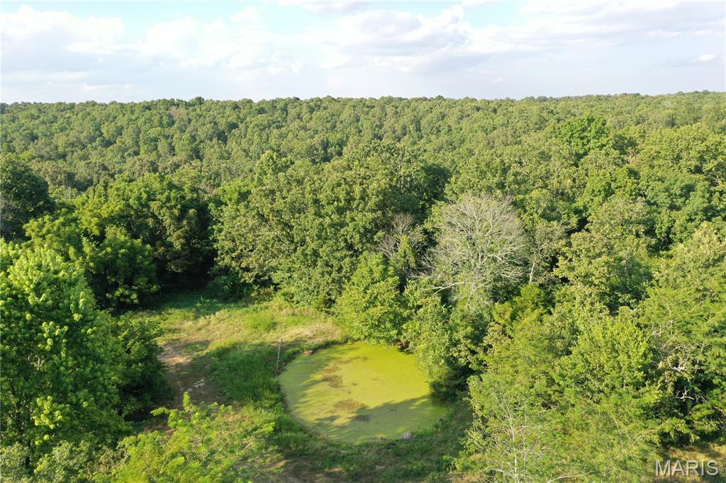 Tbd East Wirth Road Ravenden, AR 72459 - Photo 11 of 70