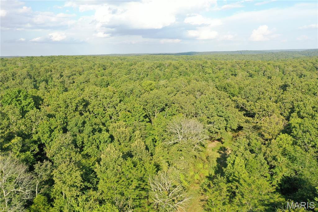 Tbd East Wirth Road Ravenden, AR 72459 - Photo 12 of 70