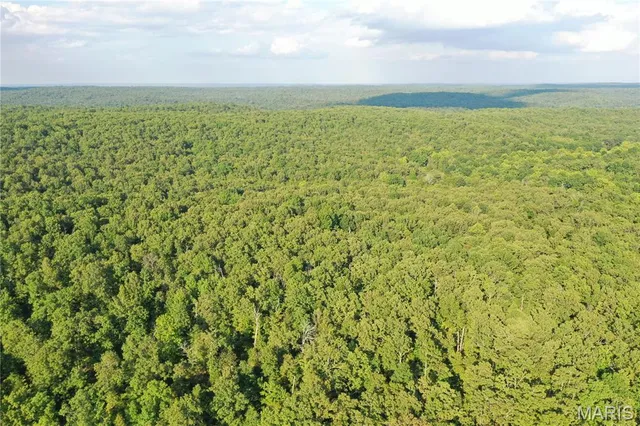 $218,519 | Tbd East Wirth Road, Ravenden, AR 72459