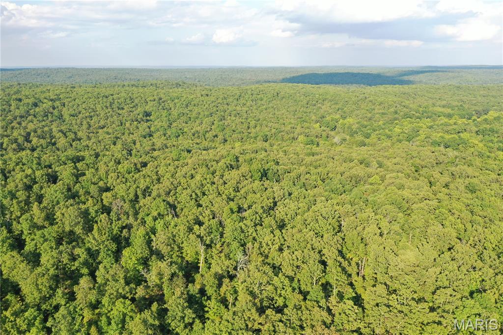 Tbd East Wirth Road Ravenden, AR 72459 - Photo 14 of 70