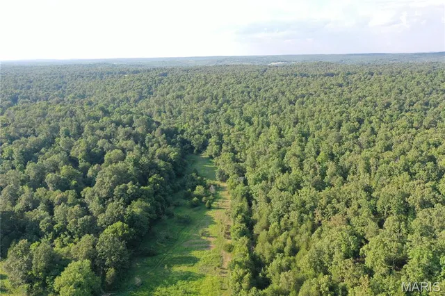 $218,519 | Tbd East Wirth Road, Ravenden, AR 72459