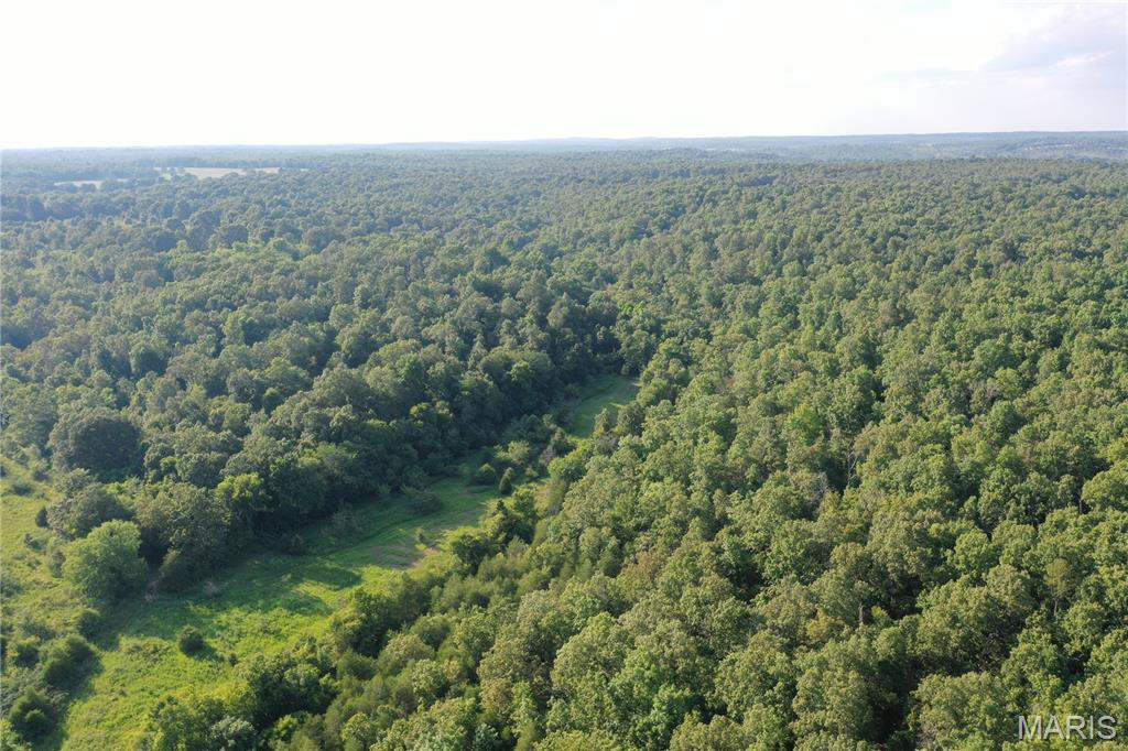 Tbd East Wirth Road Ravenden, AR 72459 - Photo 16 of 70