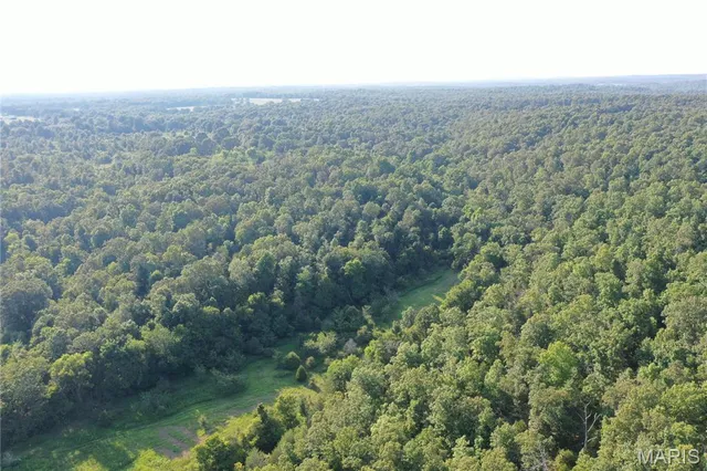 $218,519 | Tbd East Wirth Road, Ravenden, AR 72459