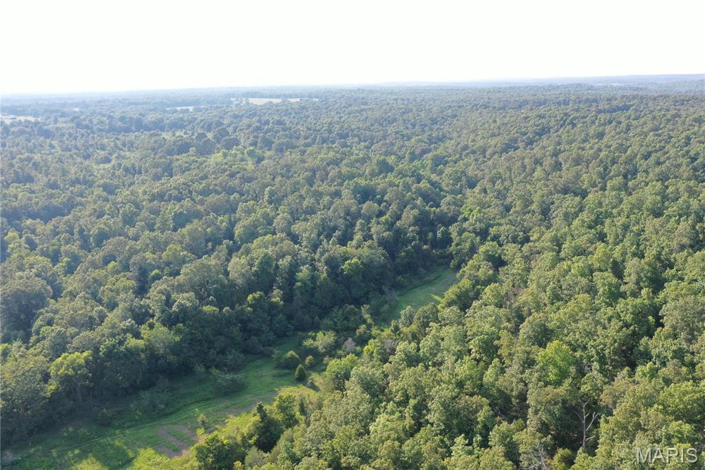 Tbd East Wirth Road Ravenden, AR 72459 - Photo 17 of 70