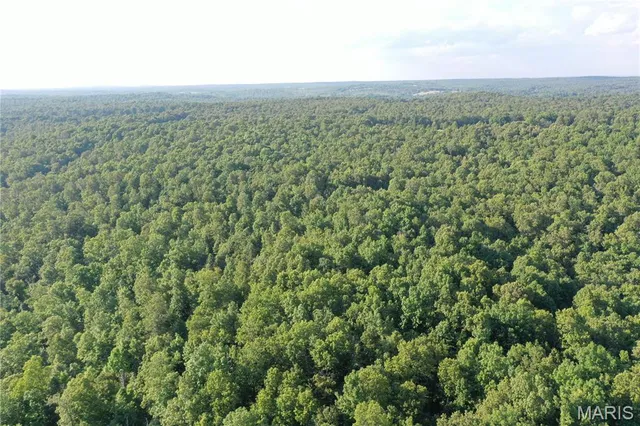 $218,519 | Tbd East Wirth Road, Ravenden, AR 72459
