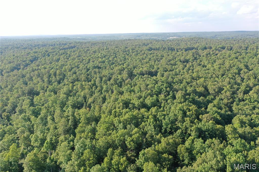 Tbd East Wirth Road Ravenden, AR 72459 - Photo 18 of 70